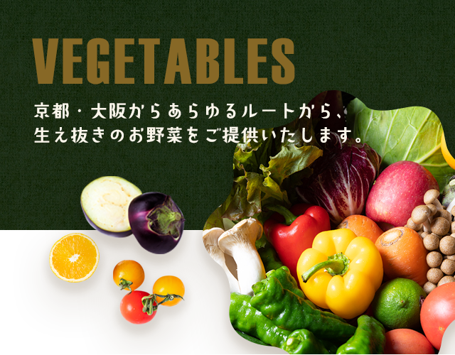 京都・大阪のあらゆるルートから、<br>生え抜きのお野菜をご提供します。